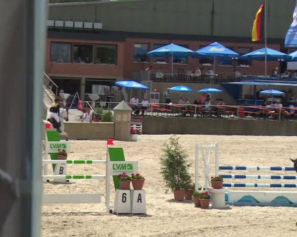 Reitturnier Küps/Ofr. 2019