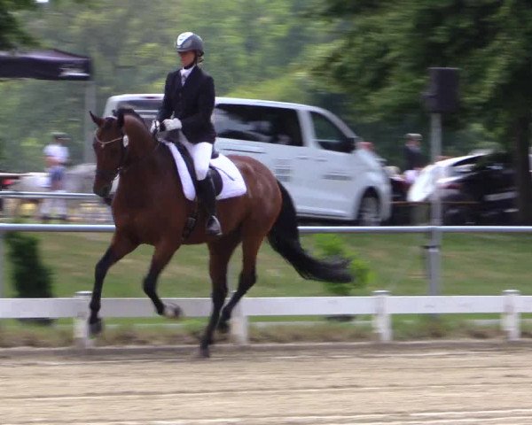 Reitturnier Coesfeld/Lette 2019