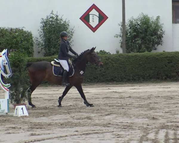 Reitturnier Leverkusen - Teitscheider Hof 2019
