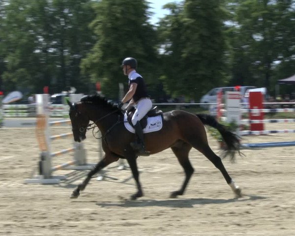 Reitturnier Coesfeld/Lette 2019