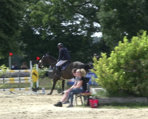 Reitturnier Coesfeld/Lette 2019