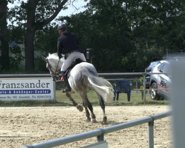 Reitturnier Coesfeld/Lette 2019