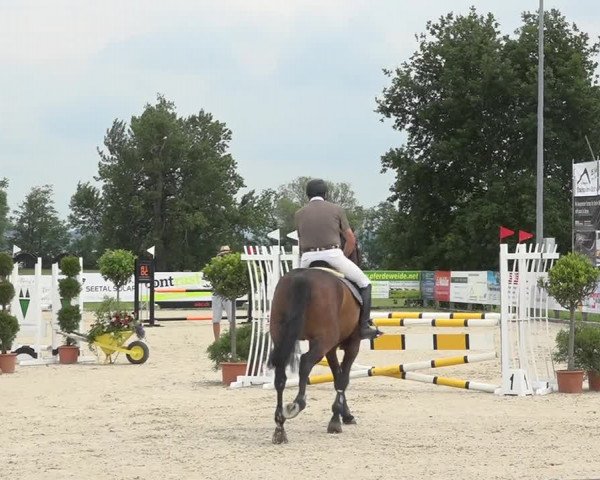 Reitturnier Hitzkirch 2019