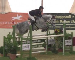 Springpferd Chase Manhattan (Westfale, 2008, von Cassus 2)