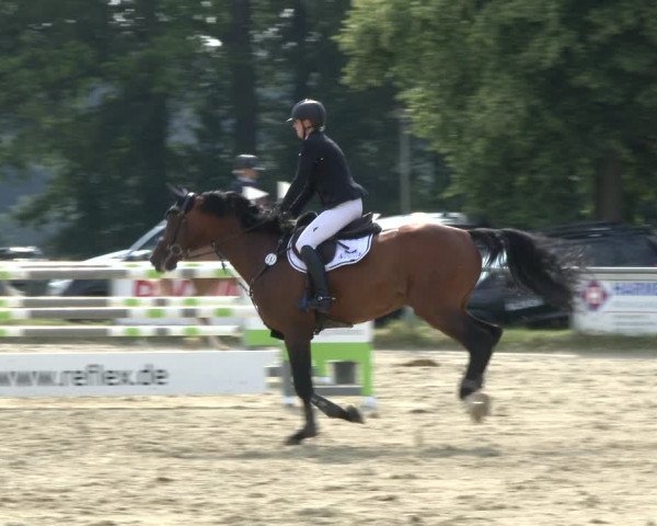Reitturnier Coesfeld/Lette 2019