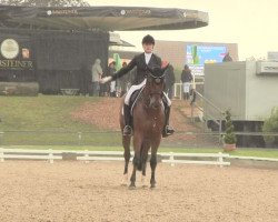 dressage horse Ferdinand 270 (Westphalian, 2008, from Florestan I)