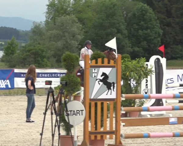 Reitturnier Hitzkirch 2019