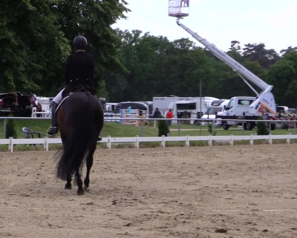 Reitturnier Coesfeld/Lette 2019