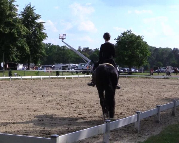 Reitturnier Coesfeld/Lette 2019