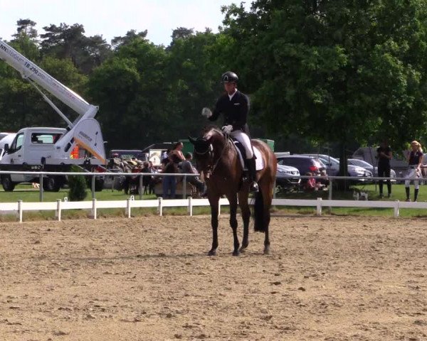 Reitturnier Coesfeld/Lette 2019