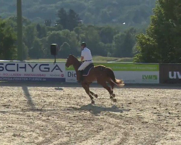 Reitturnier Küps/Ofr. 2019