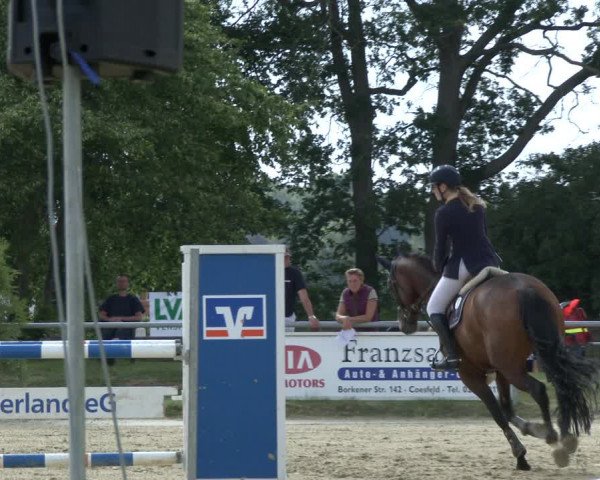 Reitturnier Coesfeld/Lette 2019