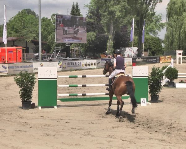 Reitturnier Viernheim 2019