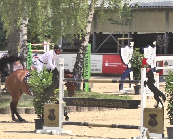 Reitturnier Viernheim 2019