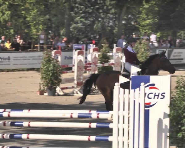 Reitturnier Viernheim 2019