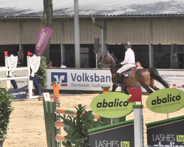 Reitturnier Viernheim 2019