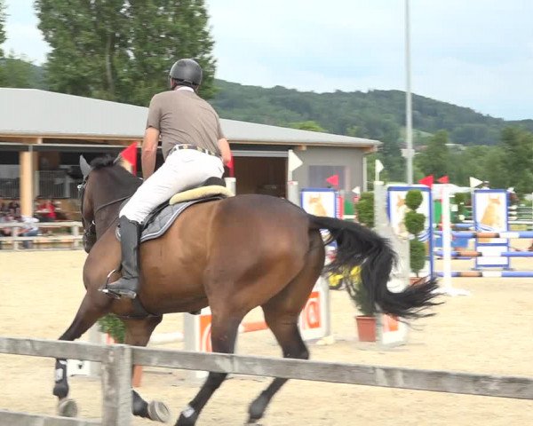 Reitturnier Hitzkirch 2019