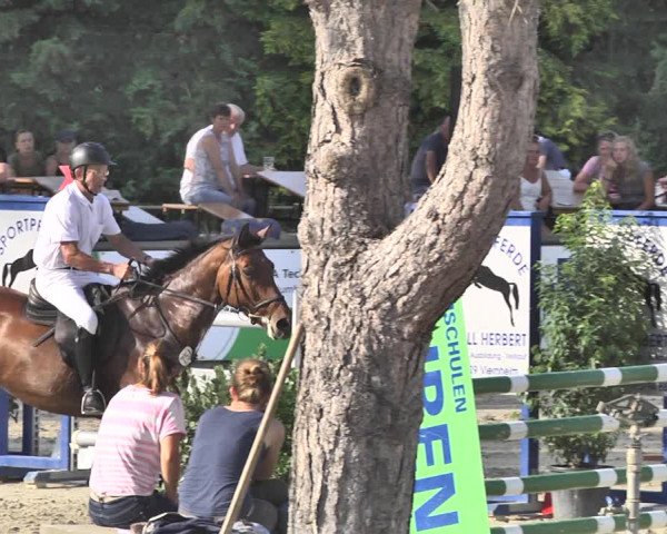 Reitturnier Viernheim 2019