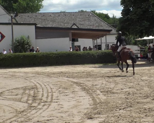 Reitturnier Leverkusen - Teitscheider Hof 2019
