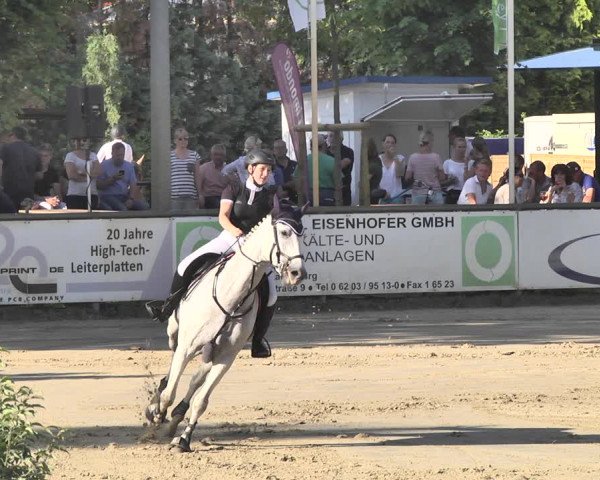 Reitturnier Viernheim 2019