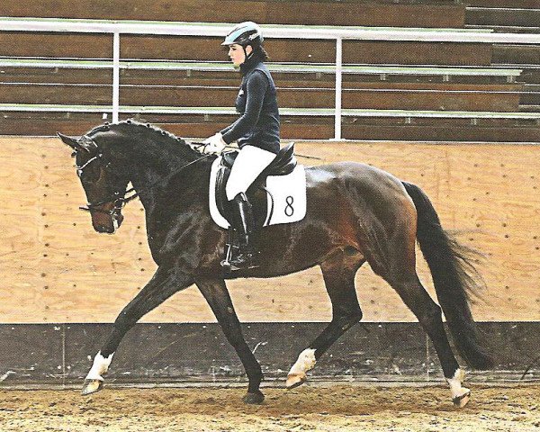 horse Sunrise Dream (Bavarian, 2011, from Christ)