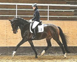 horse Sunrise Dream (Bavarian, 2011, from Christ)