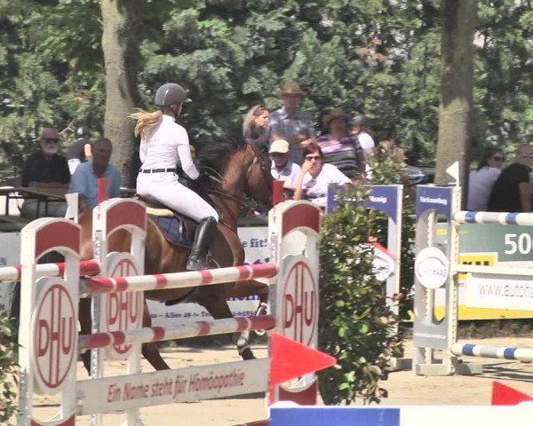Reitturnier Viernheim 2019