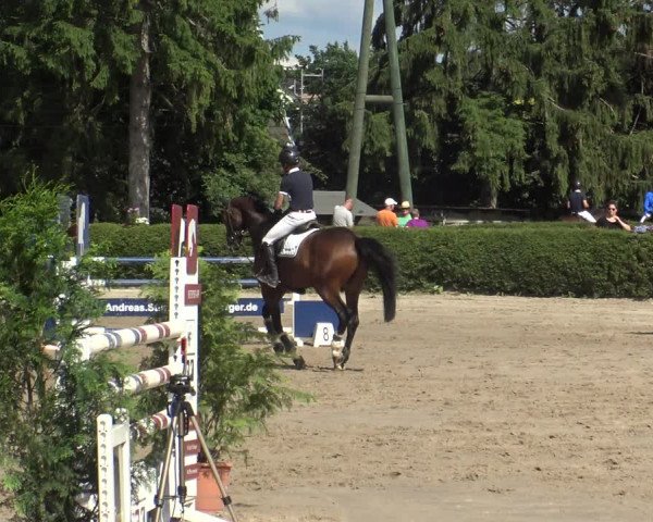 Reitturnier Leverkusen - Teitscheider Hof 2019