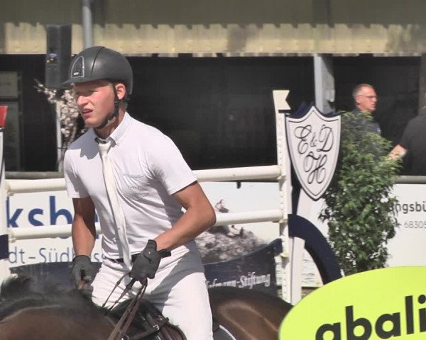 Reitturnier Viernheim 2019