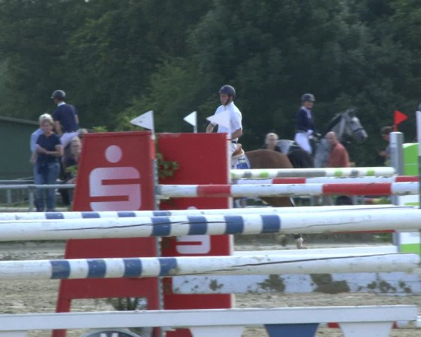 Reitturnier Coesfeld/Lette 2019