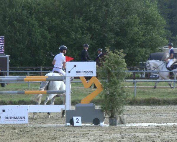 Reitturnier Coesfeld/Lette 2019