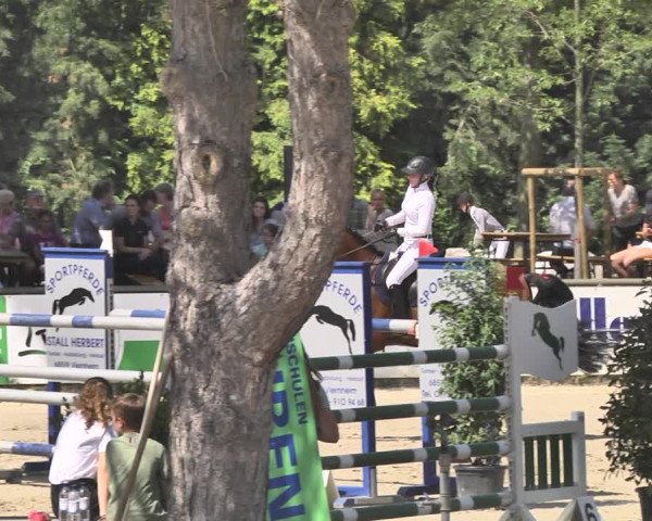 Reitturnier Viernheim 2019