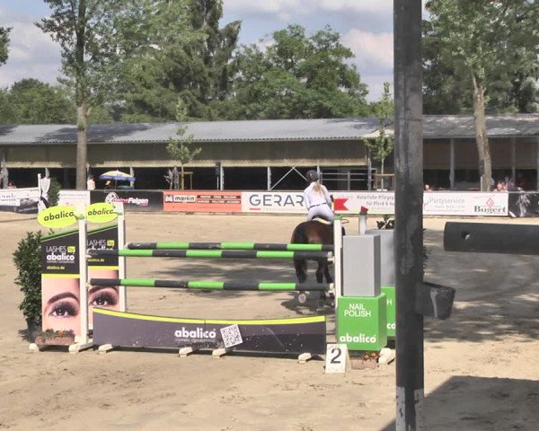 Reitturnier Viernheim 2019