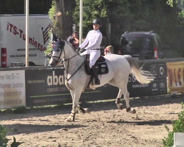 Reitturnier Viernheim 2019