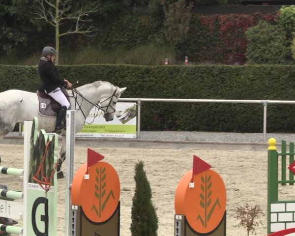Reitturnier Durmersheim-Hardt 2021