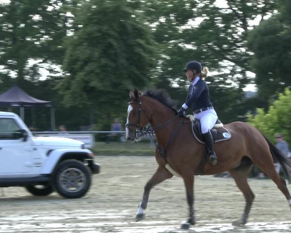 Reitturnier Coesfeld/Lette 2019