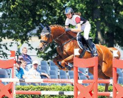 jumper Tabita 5 (Czech Warmblood, 2005, from Edminton)