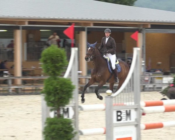 Reitturnier Hitzkirch 2019