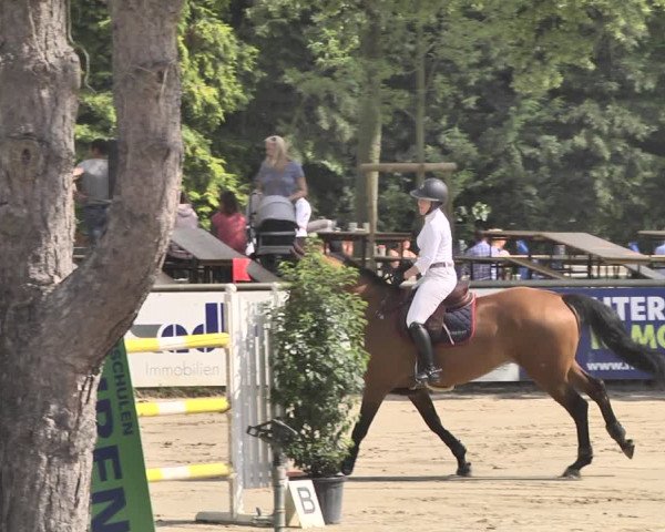 Reitturnier Viernheim 2019