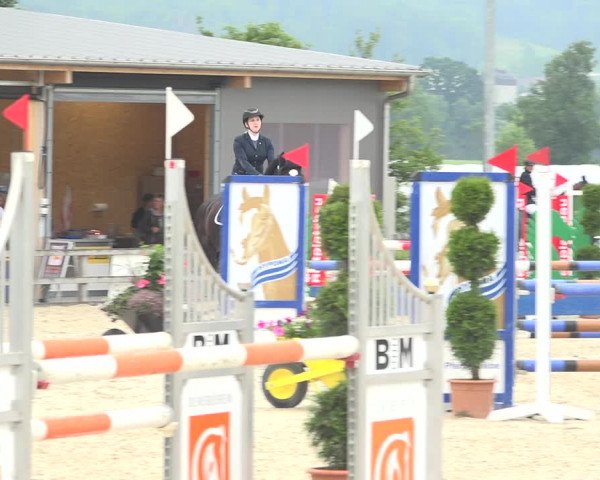 Reitturnier Hitzkirch 2019