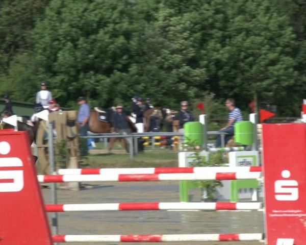 Reitturnier Coesfeld 2019