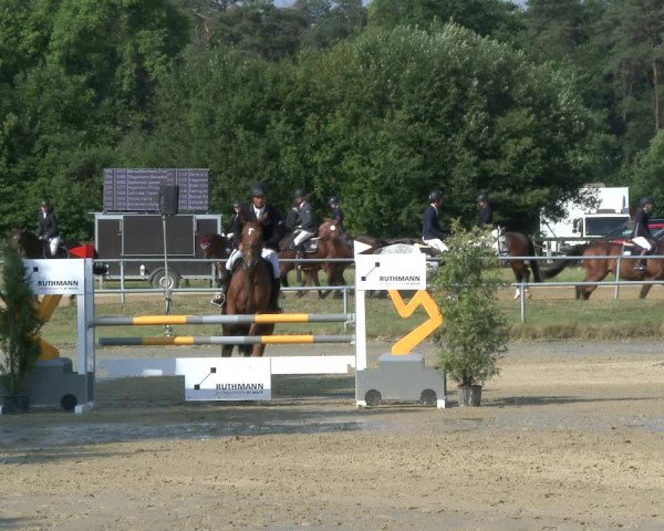 Reitturnier Coesfeld 2019