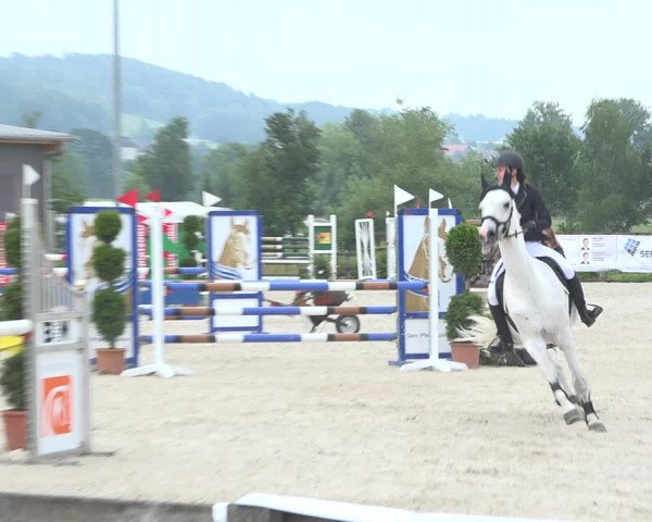 Reitturnier Hitzkirch 2019