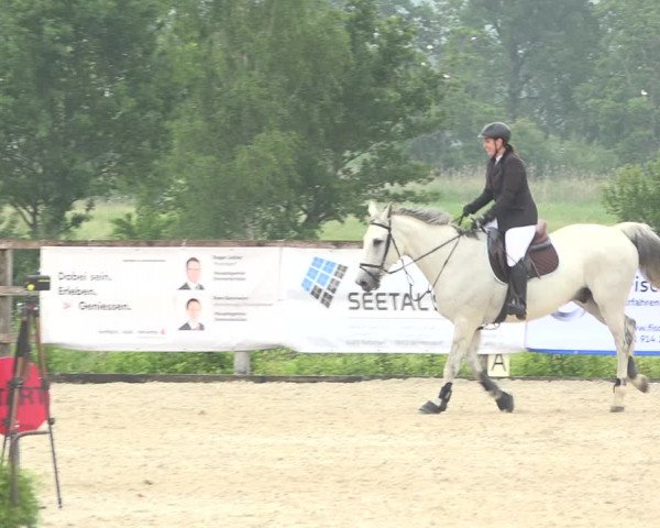 Reitturnier Hitzkirch 2019