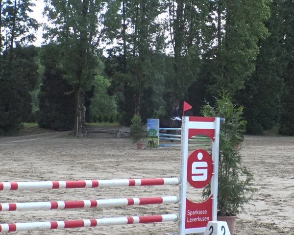 Reitturnier Leverkusen - Teitscheider Hof 2019