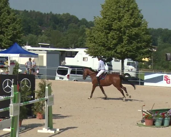 Reitturnier Küps/Ofr. 2019