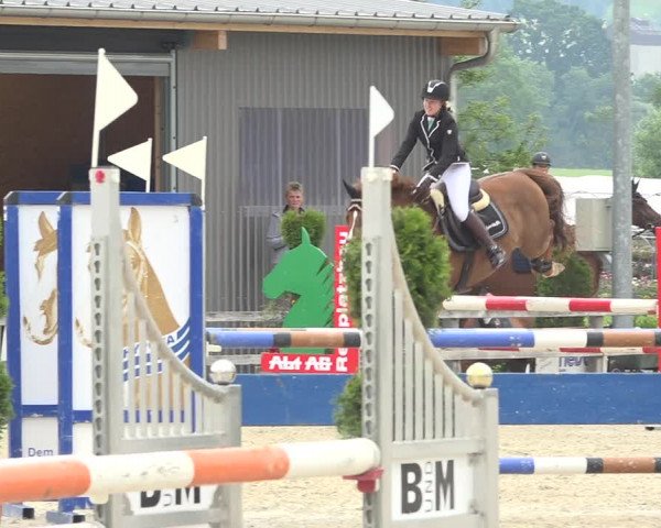 Reitturnier Hitzkirch 2019