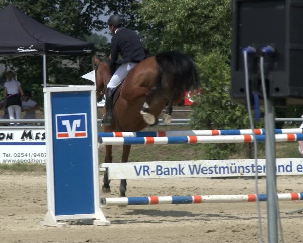Reitturnier Coesfeld 2019