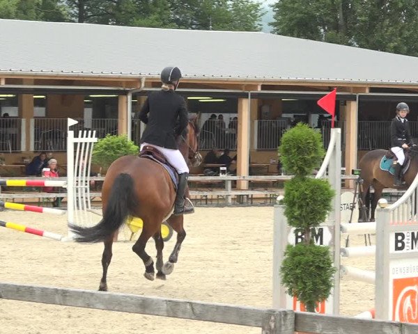 Reitturnier Hitzkirch 2019