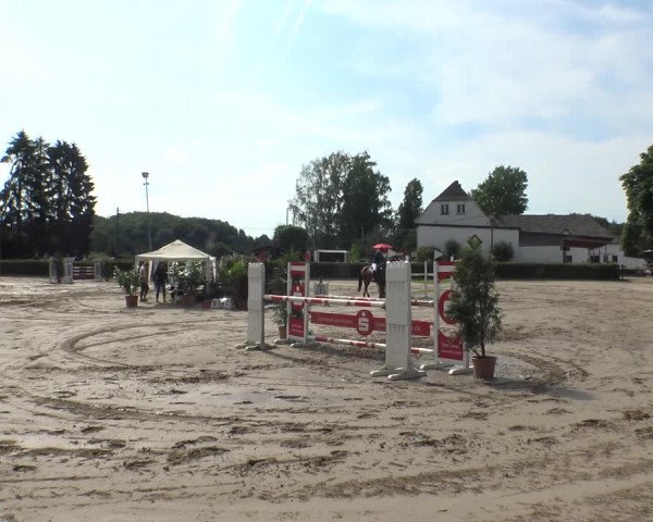Reitturnier Leverkusen - Teitscheider Hof 2019